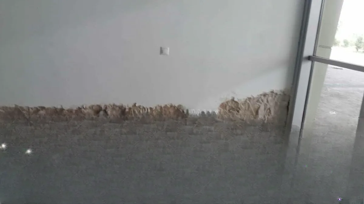 Nem Ve Rutubet Su Yalıtımı Crisin — fotoğraf 7