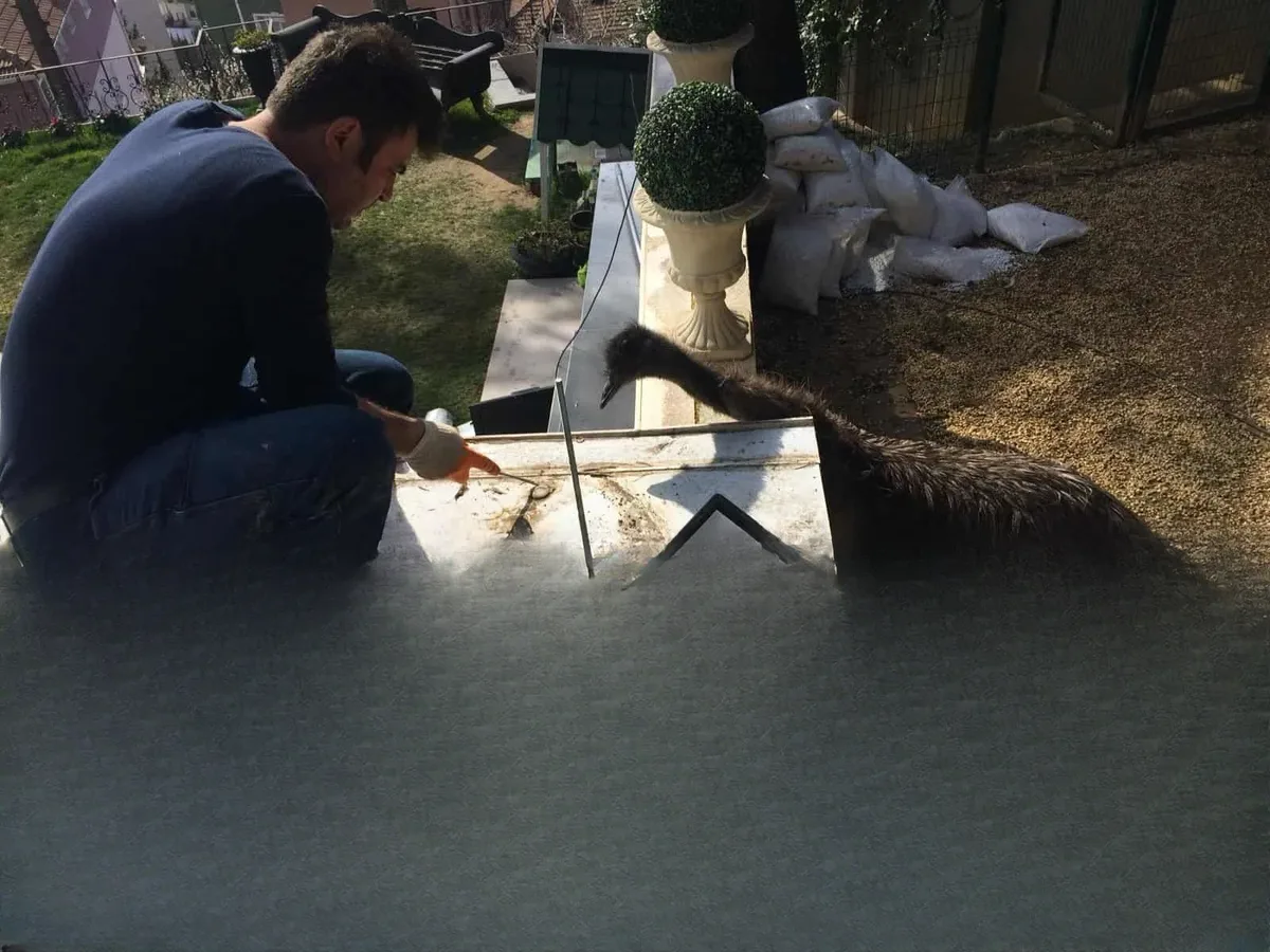 İstinye Şafak Çak Villa Su Yalıtımı ve Mastik Uygulaması — fotoğraf 9