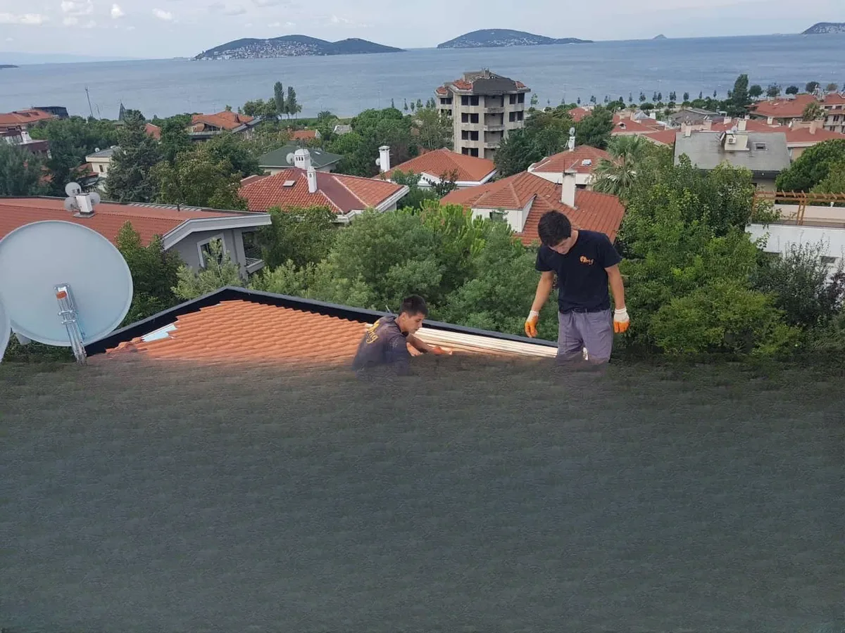 Dragos Villa Çatı Yapımı Su Yalıtımı — fotoğraf 6