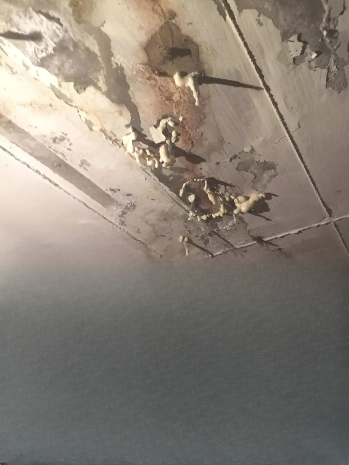 Merter Fil Damı Sitesi Poliüretan Enjeksiyon Su Yalıtımı — fotoğraf 9