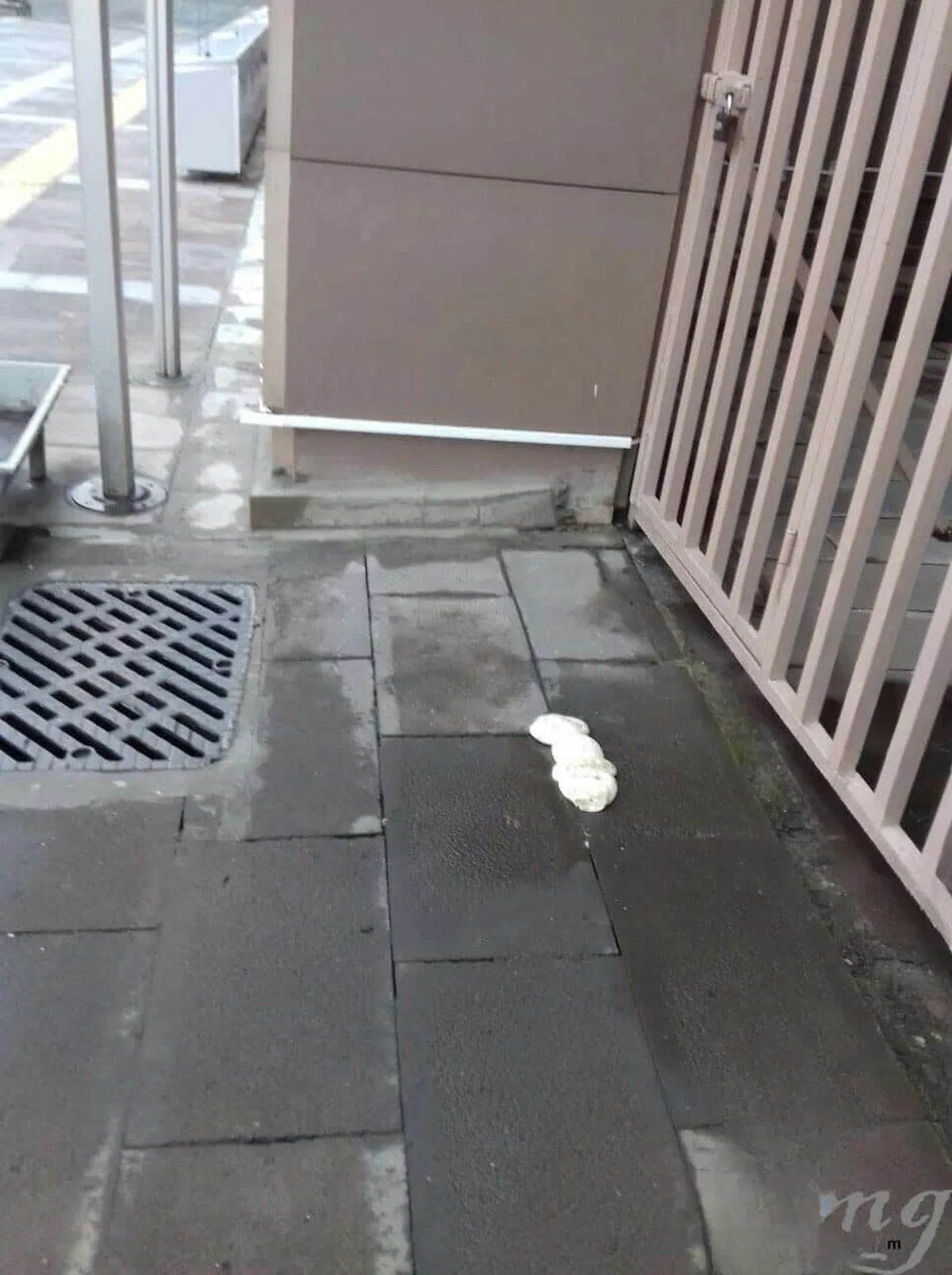 Bakırköy Adliyesi Bodrum Kat Poliüretan Enjeksiyon Su Yalıtımı — fotoğraf 7