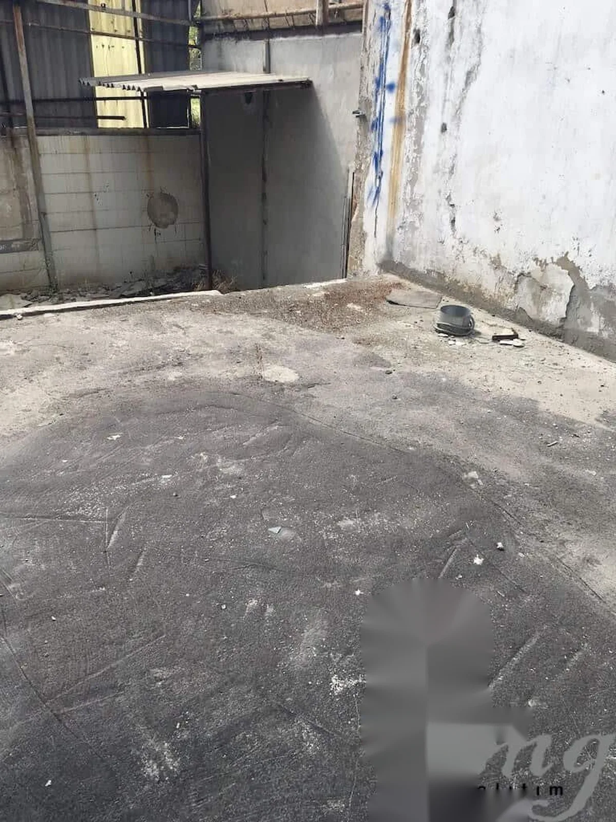 Güneşli Teras UV Dayanımlı Bitüm Esaslı Su Yalıtımı — fotoğraf 4
