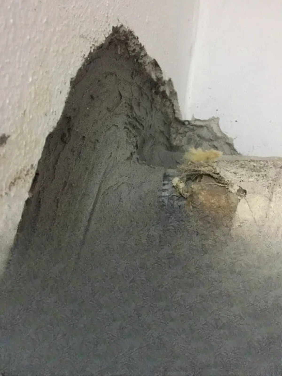 Kadıköy Çopuroğlu Enjeksiyon Su Yalıtımı — fotoğraf 6