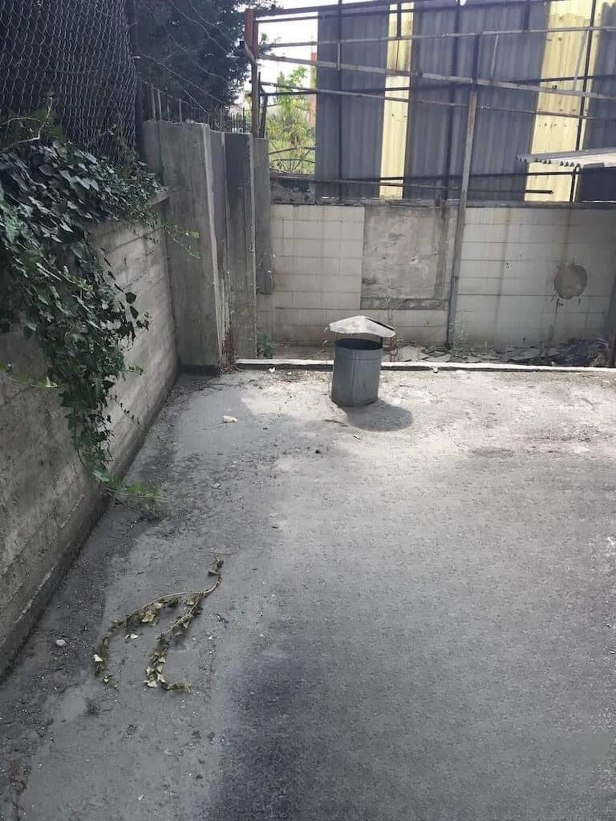 Güneşli Teras UV Dayanımlı Bitüm Esaslı Su Yalıtımı — fotoğraf 3